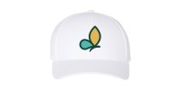 Biodiversity Quebec - Cap