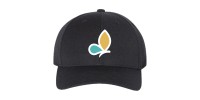 Biodiversity Quebec - Cap