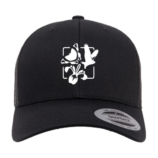 Cap with mesh